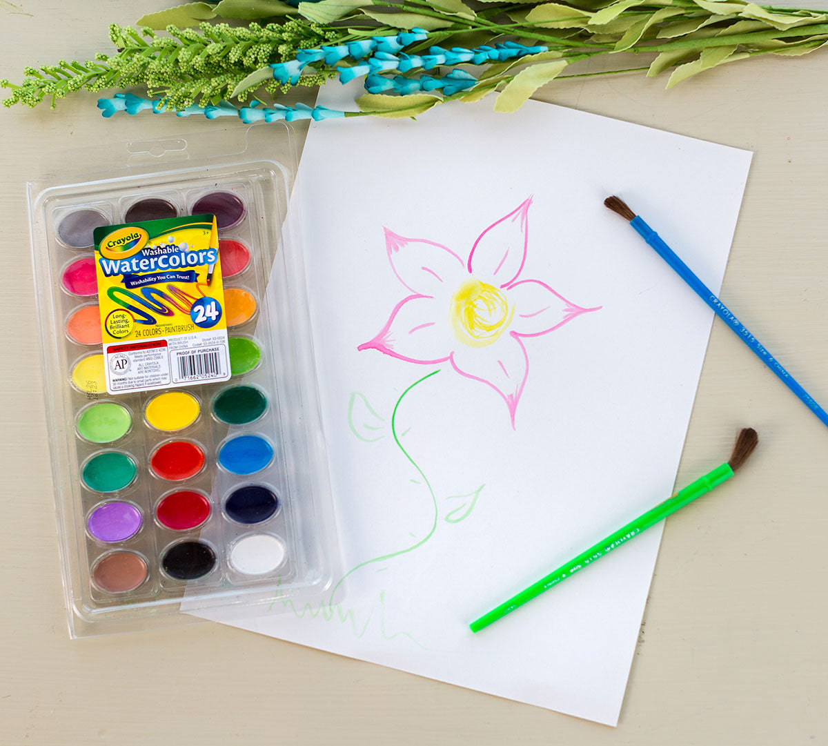 Acuarelas Crayola - 24 Colores