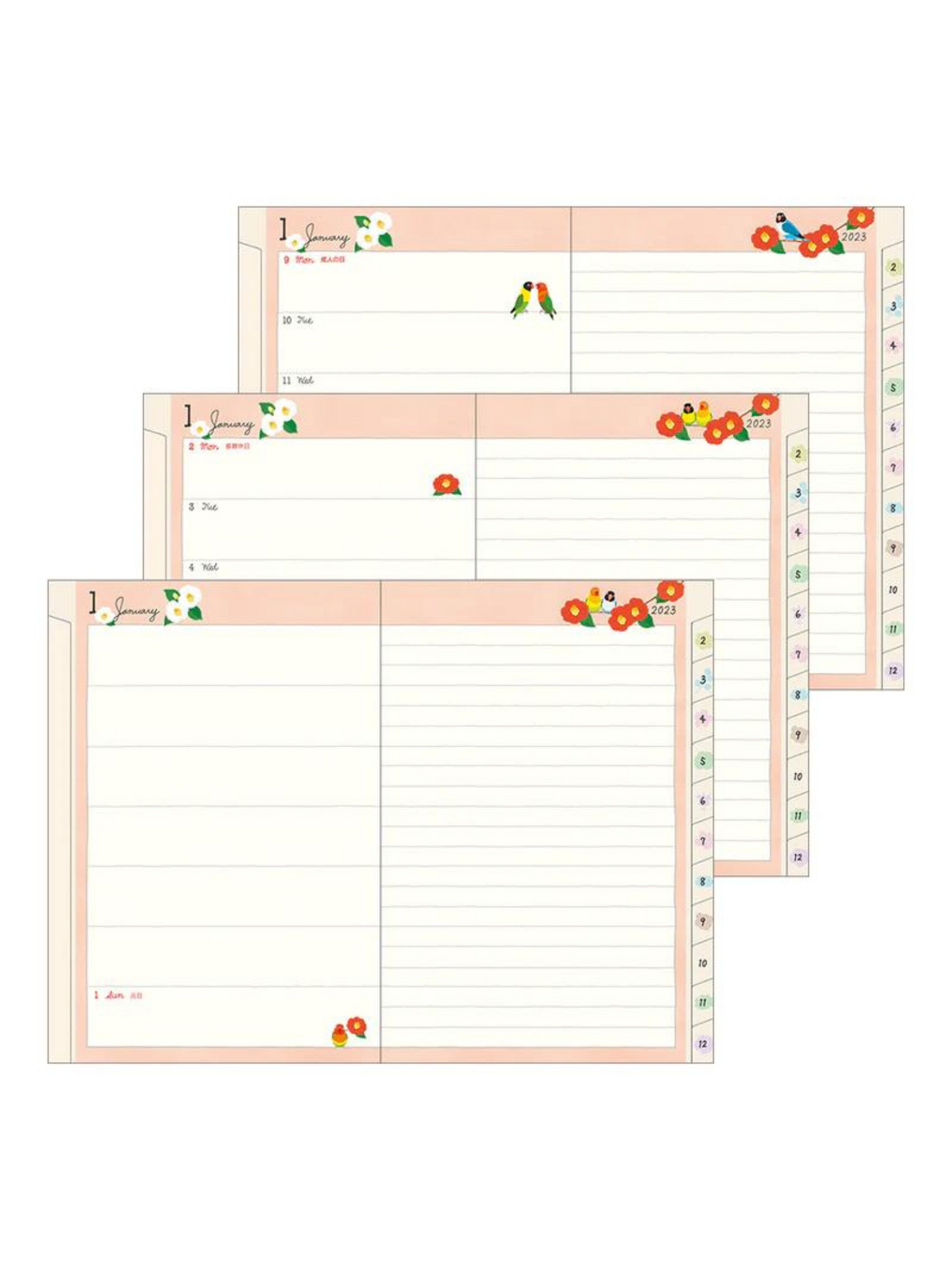 Planner 2023 Ilustrado Midori Bird