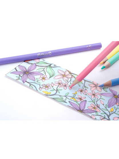 Lápices de Dibujo - Caja de 12 – Karza Colors